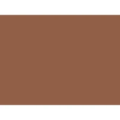 Pacon Tru-Ray Construction Paper Warm Brown 18" X 24" 50 Sheets Per Pack 2 Packs (PAC103089-2)