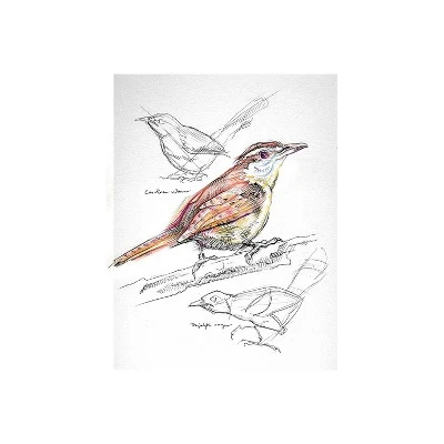 Pacon Art1st 9" X 12" Spiral Bound Sketch Book 30 Sheets/Book (103207) P103207 3 Pacon Art1st 9" X 12" Spiral Bound Sketch Book 30 Sheets/Book (103207) P103207