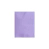 LUX 105 Lb. Cardstock Paper 8.5" X 11" Amethyst Purple Metallic 250 Sheets/Pack (81211-C-04-250) -Office Product Store GUEST e300c778 4c85 4a69 90d0 fa6c477c012d